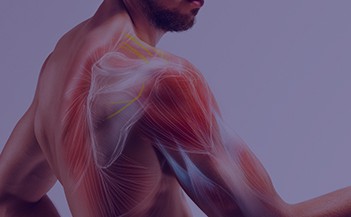 What do you do if your shoulder hurts? Search for a shoulder pain doctor near me who deals with shoulder injuries, shoulder problems, and shoulder pain.