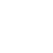Board Certified - badge Board Certified – badge