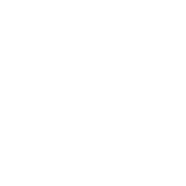 Board Certified – badge