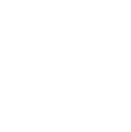 Center of Excellence - badge Center of Excellence – badge