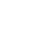 Center of Excellence – badge